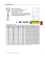 Load image into Gallery viewer, 1" x 6" G-291 Regular Nut Eye Bolt