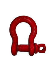 Load image into Gallery viewer, 2-1/2" S-209 Screw Pin Anchor Shackle | 55T