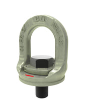 Load image into Gallery viewer, 1 - 8 x 3 SL150 UNC Slide-Loc Lift Point