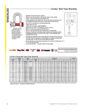 Load image into Gallery viewer, 2-1/2&quot; G-2150 Bolt Type Chain Shackle | 55T

